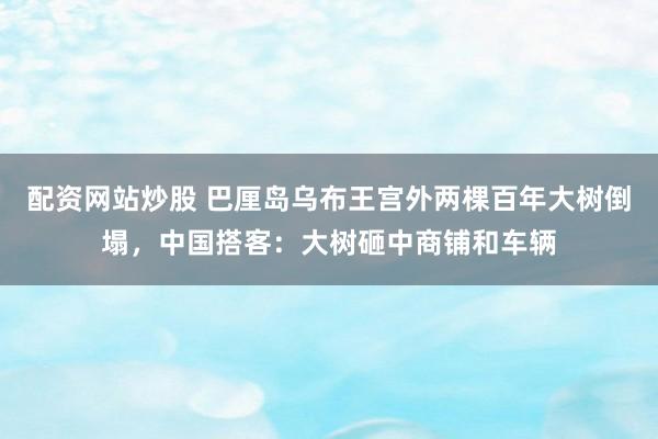 配资网站炒股 巴厘岛乌布王宫外两棵百年大树倒塌，中国搭客：大树砸中商铺和车辆