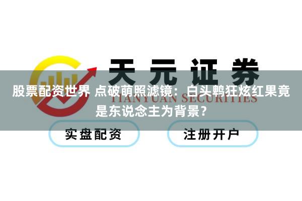 股票配资世界 点破萌照滤镜：白头鹎狂炫红果竟是东说念主为背景？